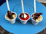 Kurt-pure-frozen-yogurt-3744568-featured