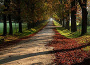 Lainzer-tiergarten-and-hermesvilla-2259-featured
