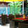 Restaurant-phönix-10673-featured