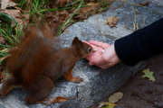 Schlosspark-schönbrunn_4505047_featured