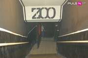 The-zoo-4084714-featured